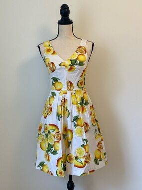 Banana Republic Sleeveless Lemon Print Fit & Flare Dress